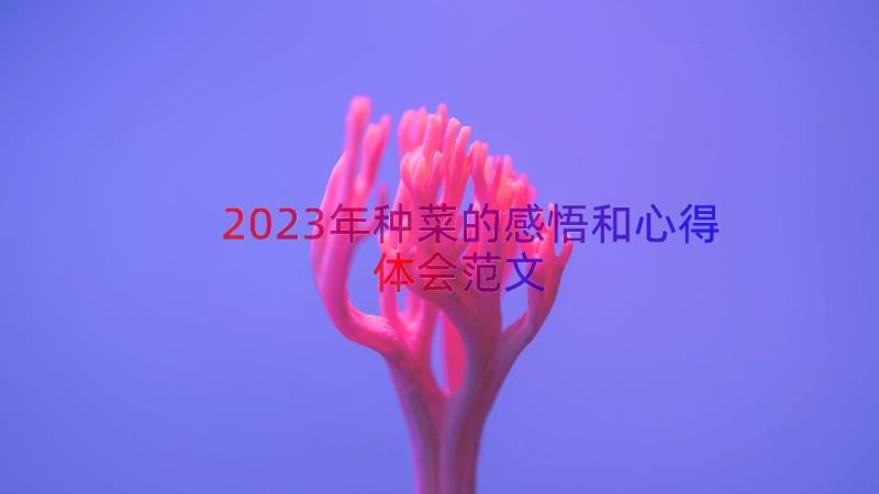 2023年种菜的感悟和心得体会范文（14篇）