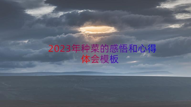 2023年种菜的感悟和心得体会（模板13篇）