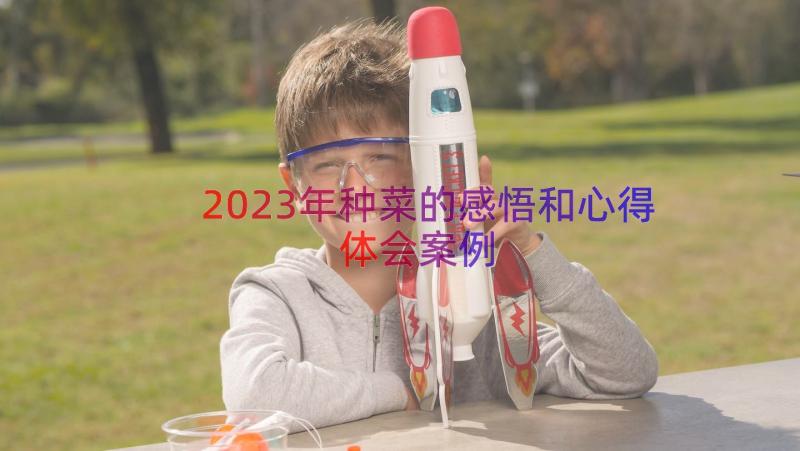 2023年种菜的感悟和心得体会（案例15篇）