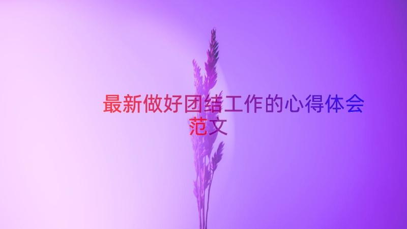 最新做好团结工作的心得体会范文（14篇）