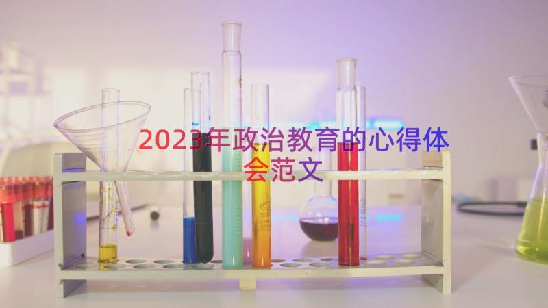 2023年政治教育的心得体会范文（17篇）