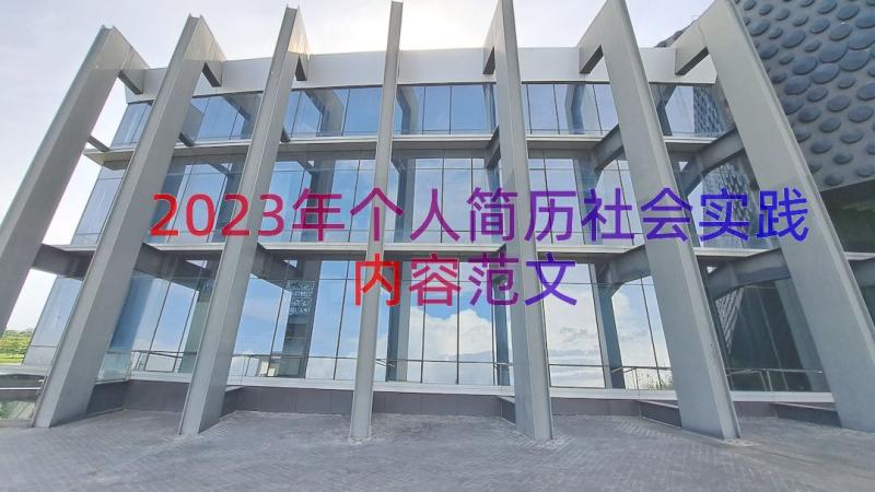 2023年个人简历社会实践内容范文（13篇）