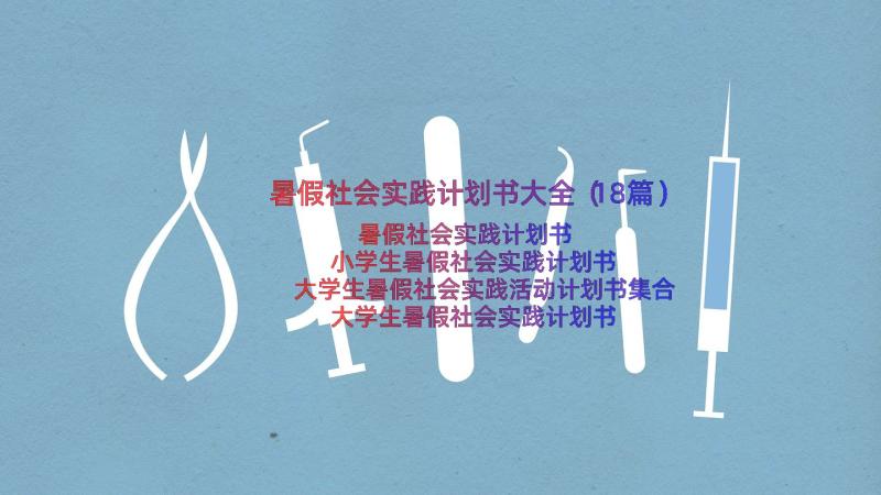 暑假社会实践计划书大全（18篇）