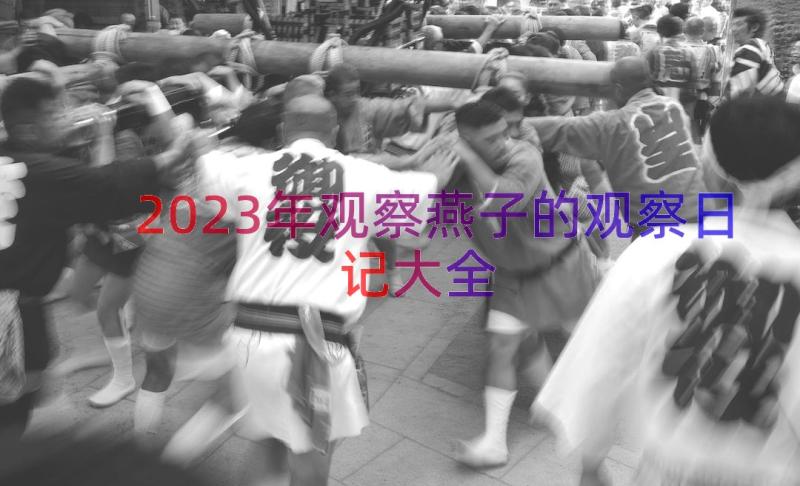 2023年观察燕子的观察日记大全（14篇）