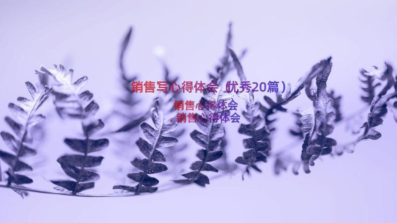 销售写心得体会（优秀20篇）