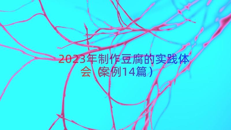 2023年制作豆腐的实践体会（案例14篇）