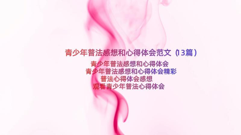 青少年普法感想和心得体会范文（13篇）