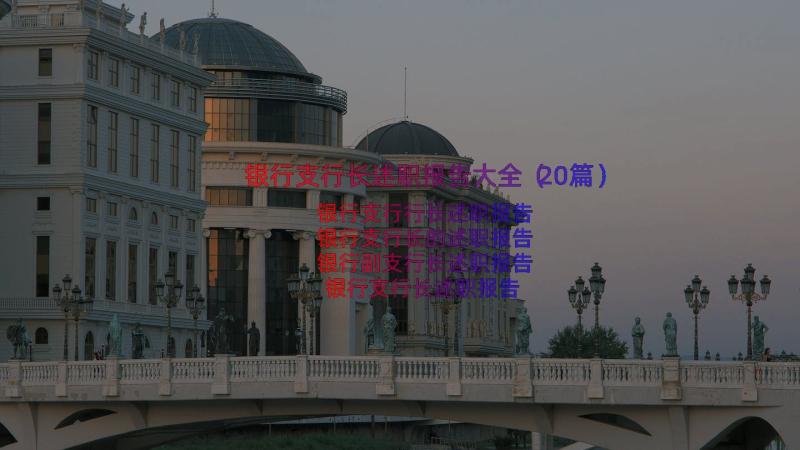 银行支行长述职报告大全（20篇）