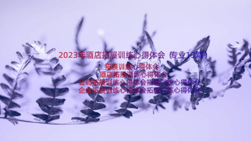 2023年酒店拓展训练心得体会（专业13篇）