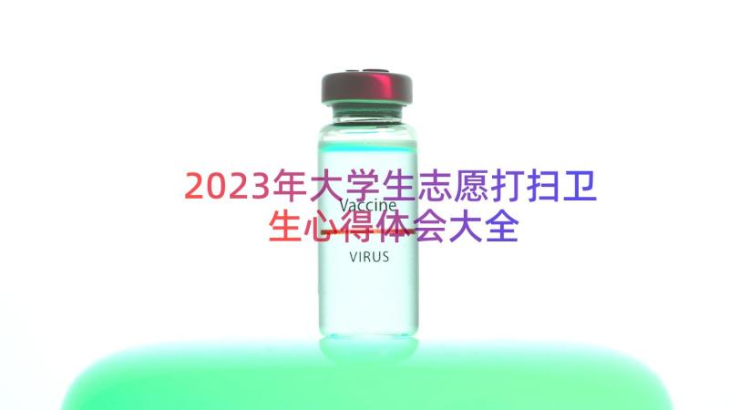 2023年大学生志愿打扫卫生心得体会大全（16篇）