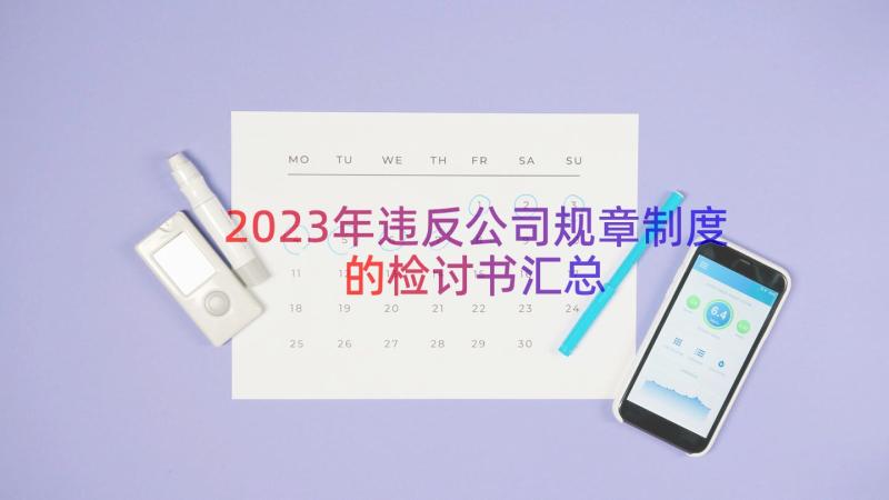 2023年违反公司规章制度的检讨书（汇总14篇）