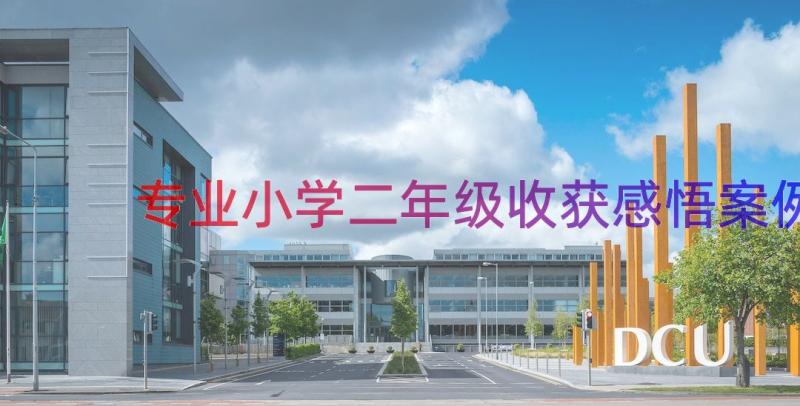 专业小学二年级收获感悟（案例17篇）