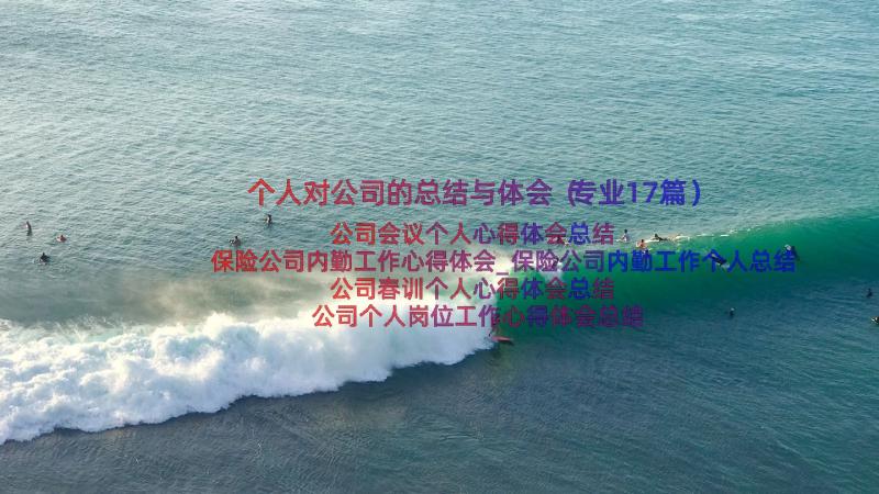 个人对公司的总结与体会（专业17篇）