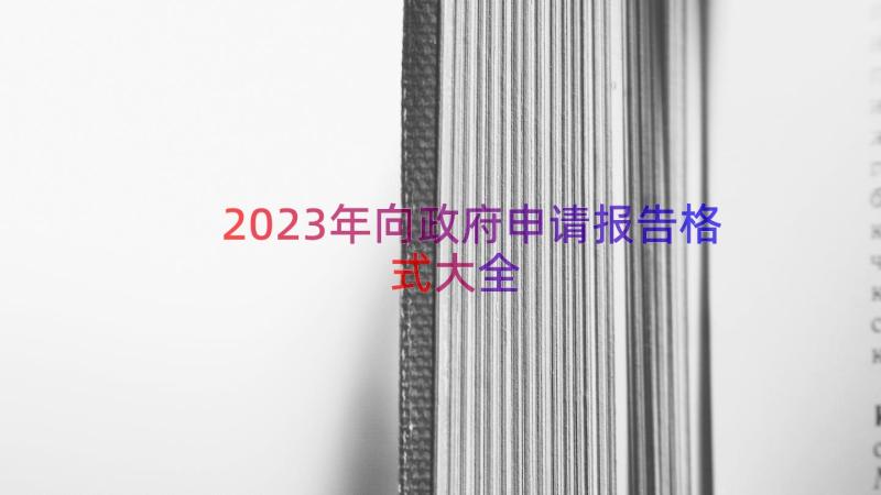 2023年向政府申请报告格式大全（13篇）