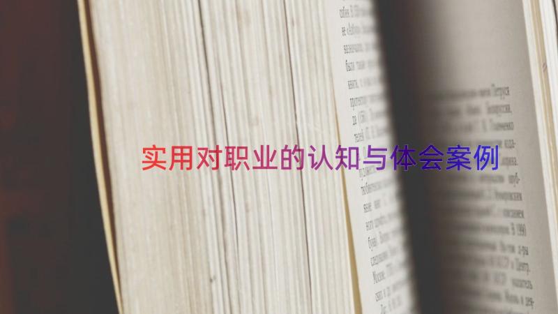 实用对职业的认知与体会（案例17篇）