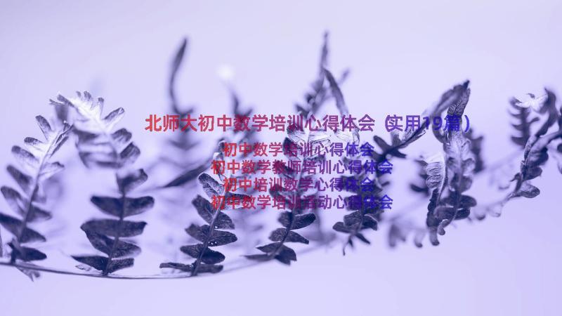 北师大初中数学培训心得体会（实用19篇）