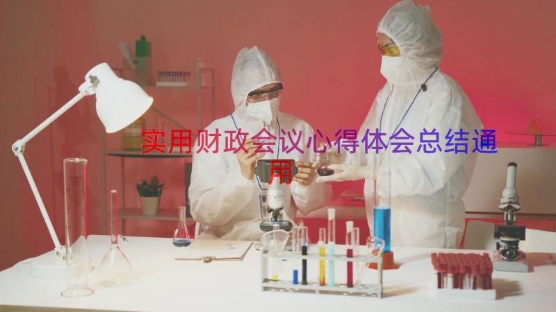 实用财政会议心得体会总结（通用12篇）