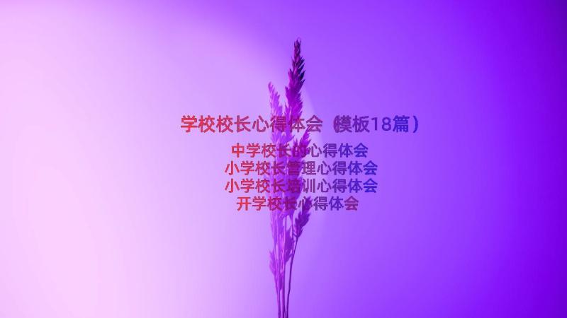 学校校长心得体会（模板18篇）