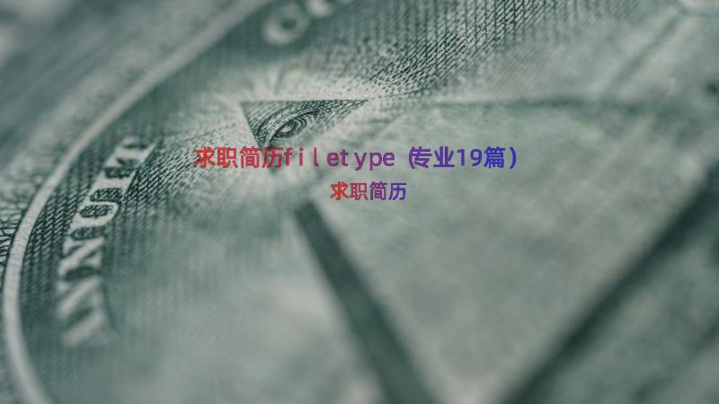 求职简历filetype（专业19篇）