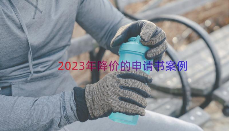 2023年降价的申请书（案例15篇）