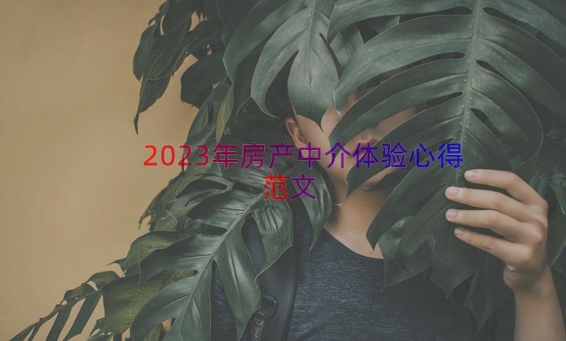 2023年房产中介体验心得范文（16篇）