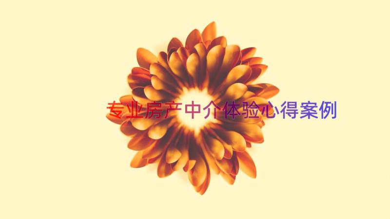 专业房产中介体验心得（案例14篇）