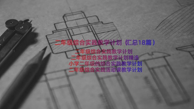 二年级综合实践教学计划（汇总18篇）