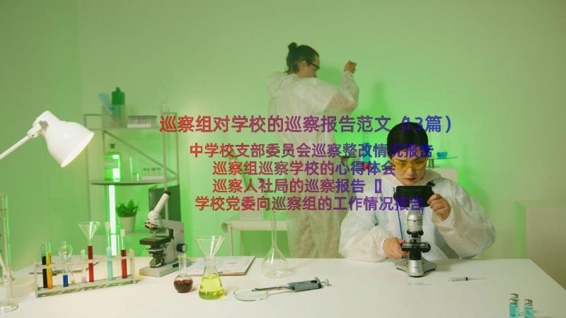 巡察组对学校的巡察报告范文（13篇）