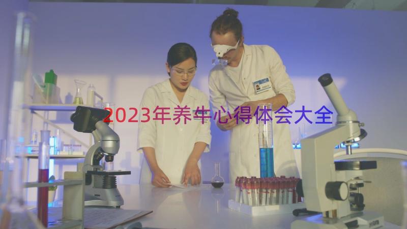 2023年养牛心得体会大全（17篇）