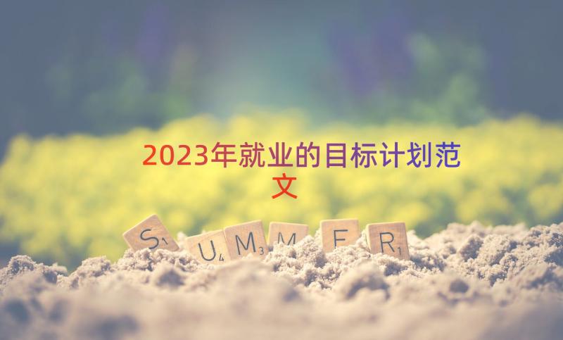 2023年就业的目标计划范文（15篇）