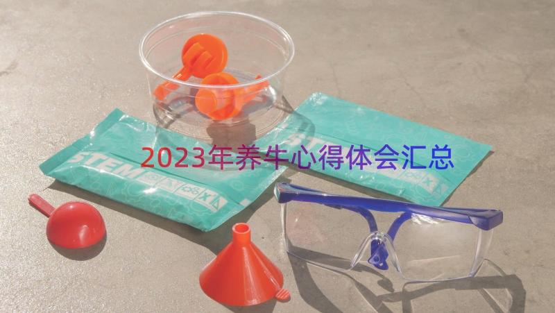 2023年养牛心得体会（汇总14篇）