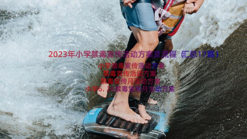 2023年小学禁毒宣传活动方案及流程（汇总17篇）