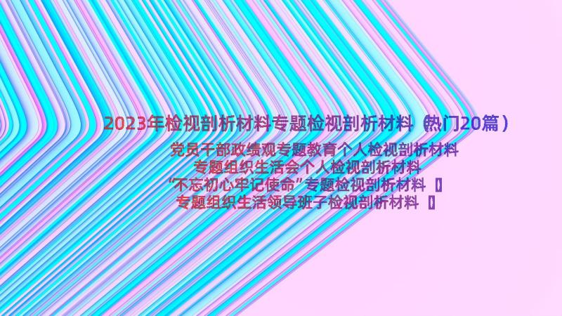 2023年检视剖析材料专题检视剖析材料（热门20篇）