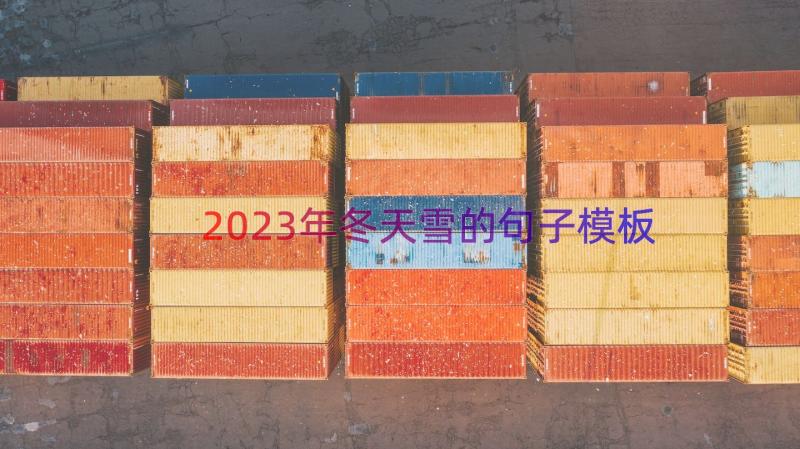 2023年冬天雪的句子（模板14篇）