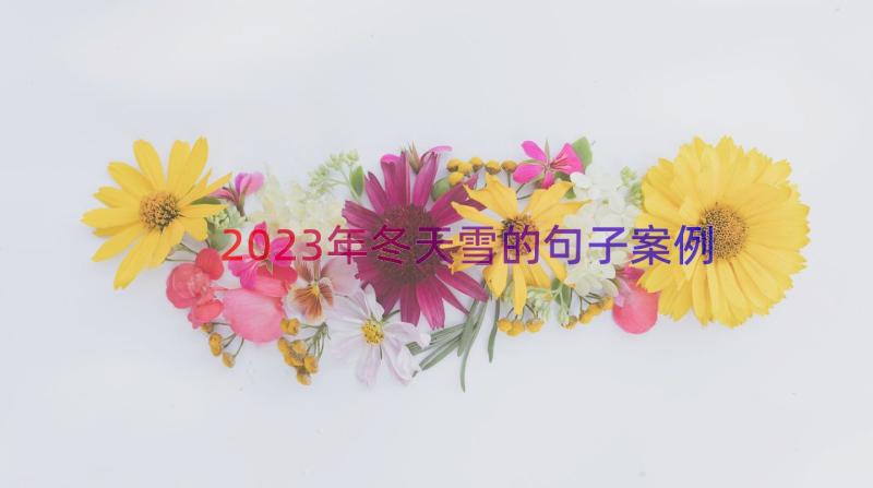 2023年冬天雪的句子（案例14篇）