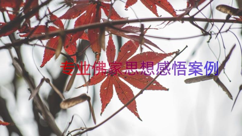 专业佛家思想感悟（案例18篇）