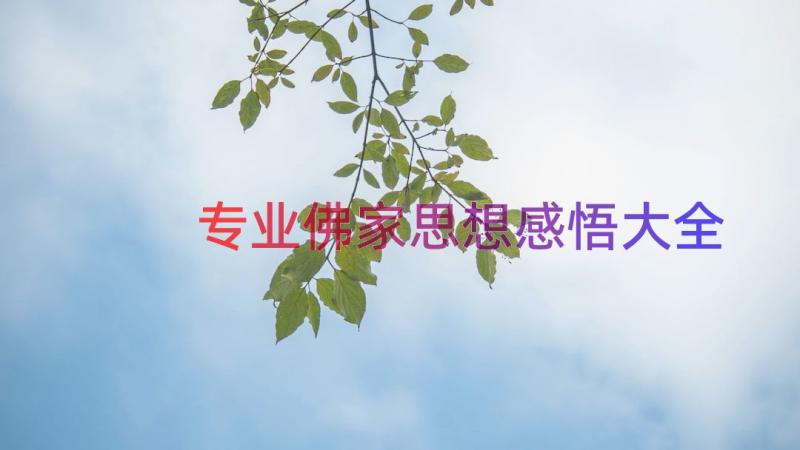 专业佛家思想感悟大全（13篇）