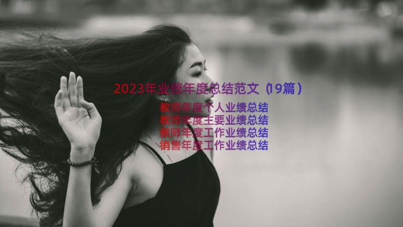 2023年业绩年度总结范文（19篇）