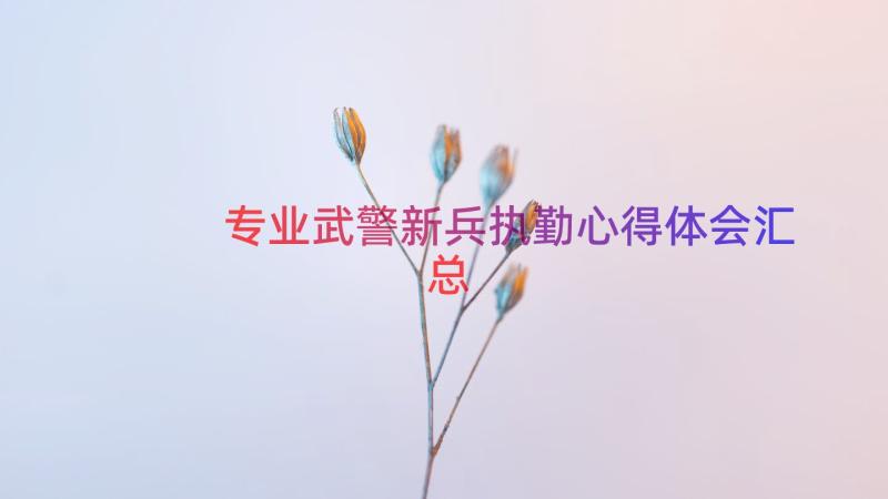 专业武警新兵执勤心得体会（汇总19篇）