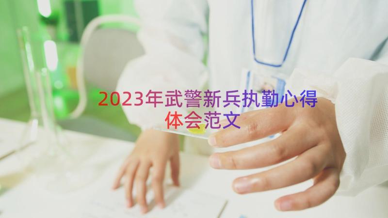 2023年武警新兵执勤心得体会范文（15篇）