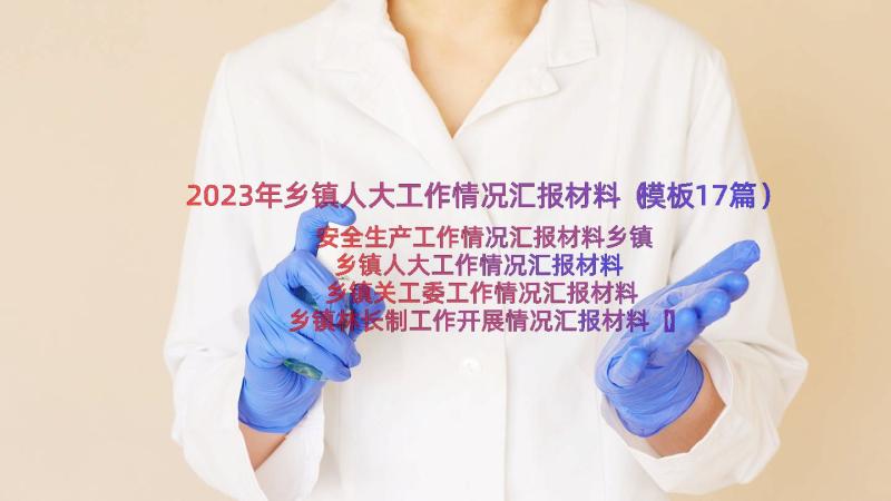 2023年乡镇人大工作情况汇报材料（模板17篇）