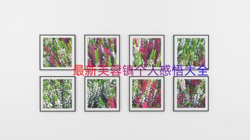 最新芙蓉镇个人感悟大全（17篇）