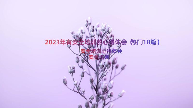 2023年有安全培训的心得体会（热门18篇）