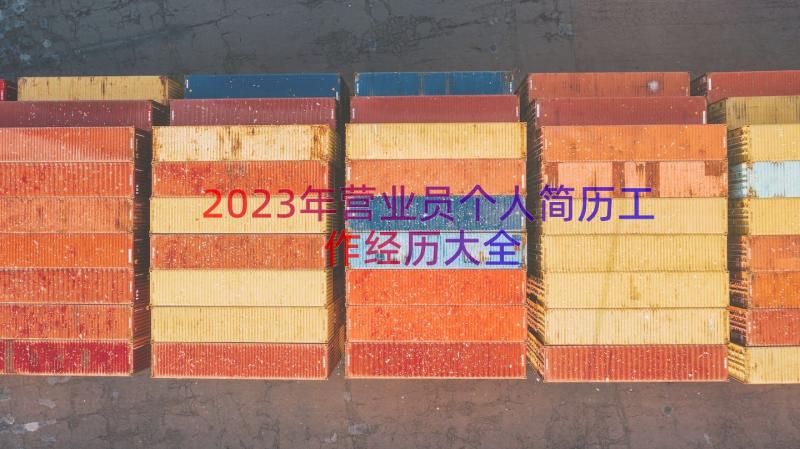 2023年营业员个人简历工作经历大全（18篇）