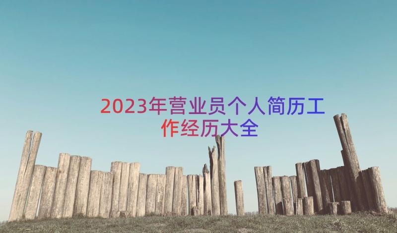 2023年营业员个人简历工作经历大全（16篇）