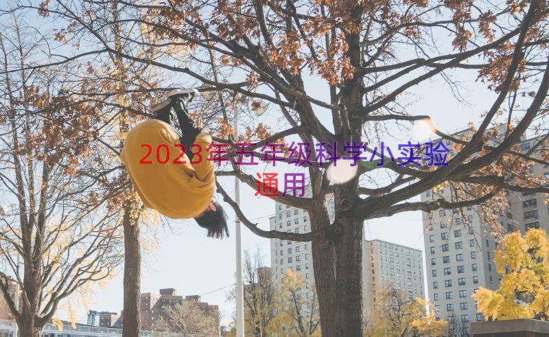 2023年五年级科学小实验（通用13篇）