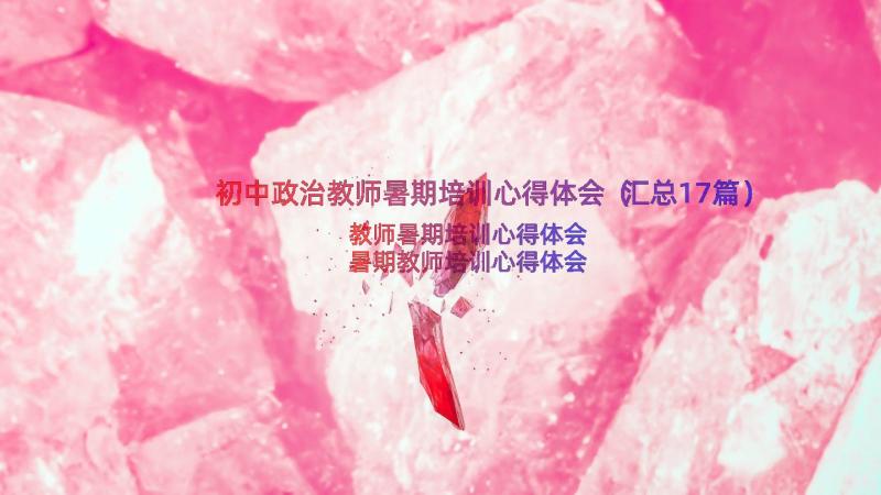 初中政治教师暑期培训心得体会（汇总17篇）