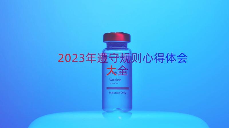 2023年遵守规则心得体会大全（13篇）