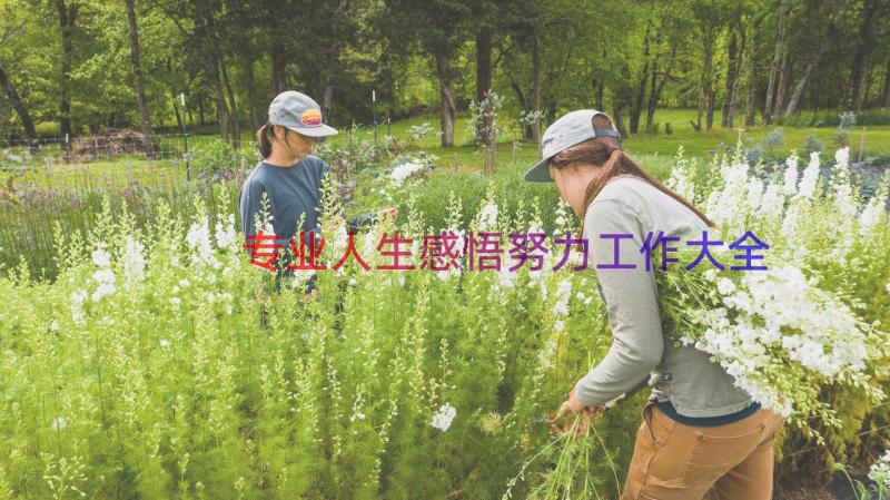 专业人生感悟努力工作大全（13篇）