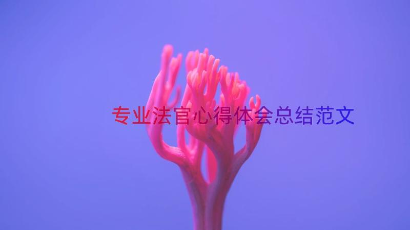 专业法官心得体会总结范文（14篇）